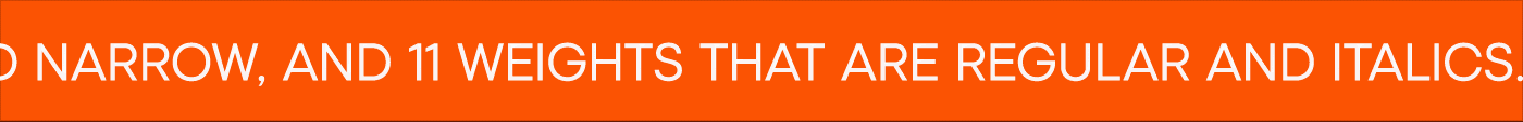 Orange band with text 'THE İZMİR FONT FAMILY CONSISTS OF TWO WIDTHS THAT ARE NORMAL AND NARROW, AND 11 WEIGHTS THAT ARE REGULAR AND ITALICS'